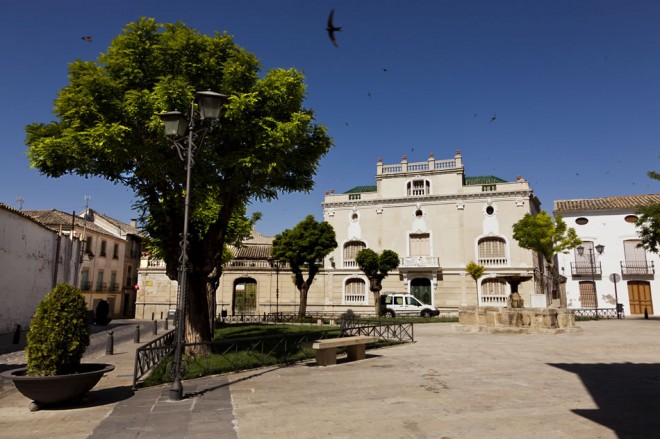 Rehabilitación del Palacio de los Orozco